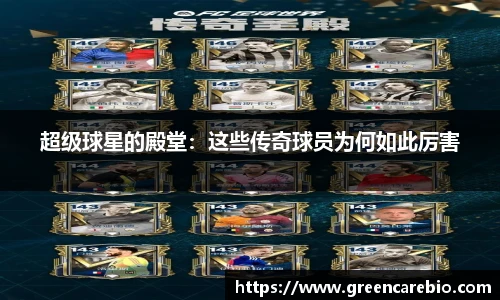 开云电竞官方