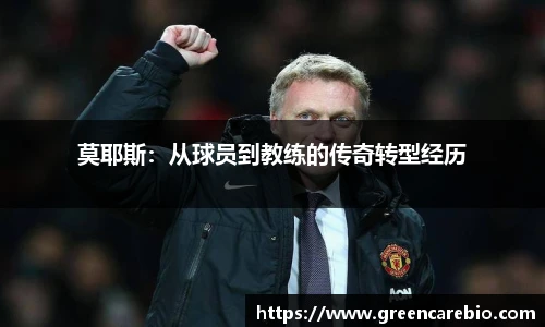开云电竞官网
