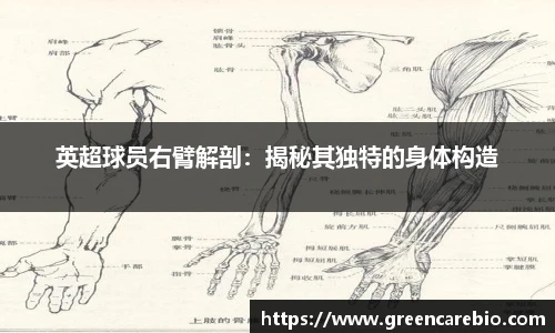 开云电竞官方