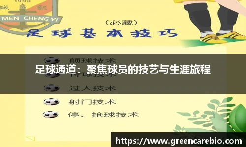 开云电竞