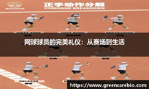 开云电竞官网