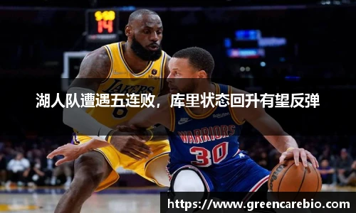 开云电竞官方