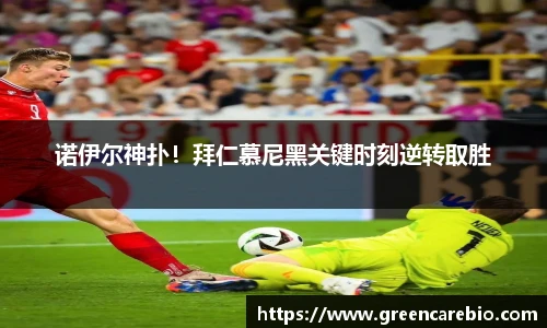 开云电竞平台