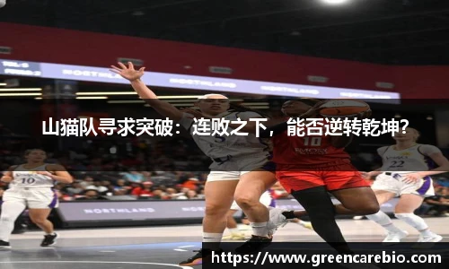 山猫队寻求突破：连败之下，能否逆转乾坤？