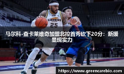 开云电竞平台