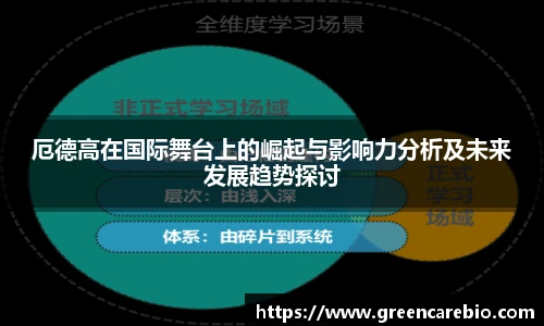 厄德高在国际舞台上的崛起与影响力分析及未来发展趋势探讨