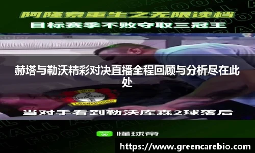 赫塔与勒沃精彩对决直播全程回顾与分析尽在此处
