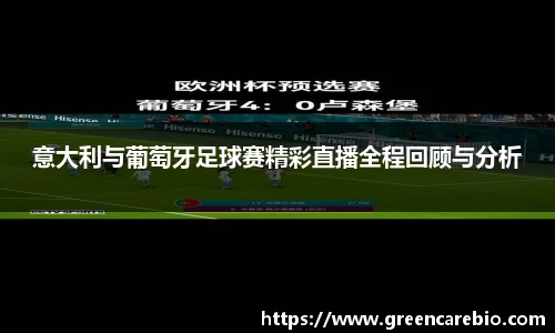 意大利与葡萄牙足球赛精彩直播全程回顾与分析