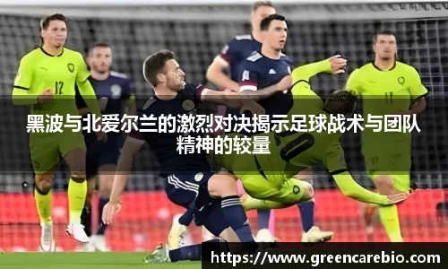 开云电竞官方