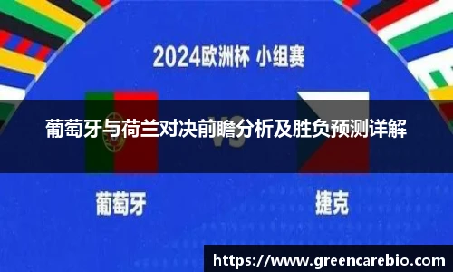 葡萄牙与荷兰对决前瞻分析及胜负预测详解