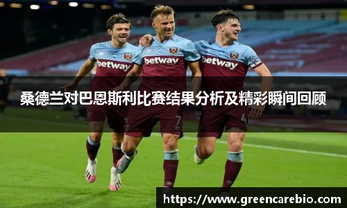 开云电竞官方