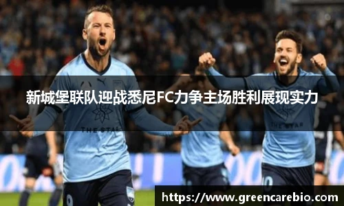 新城堡联队迎战悉尼FC力争主场胜利展现实力