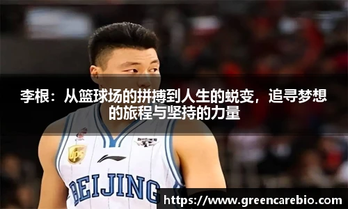 李根：从篮球场的拼搏到人生的蜕变，追寻梦想的旅程与坚持的力量