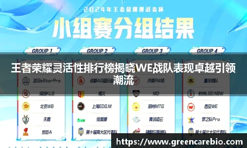 王者荣耀灵活性排行榜揭晓WE战队表现卓越引领潮流