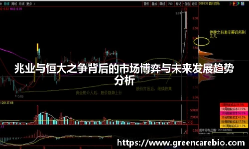 兆业与恒大之争背后的市场博弈与未来发展趋势分析