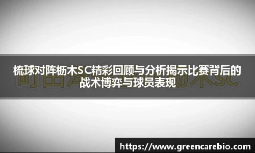 梳球对阵枥木SC精彩回顾与分析揭示比赛背后的战术博弈与球员表现